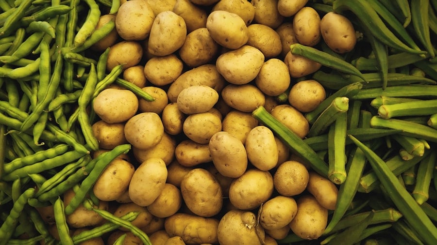 Potato Industry Sustainability and Innovation