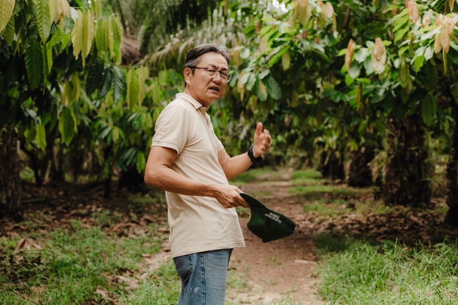 Agroforestry