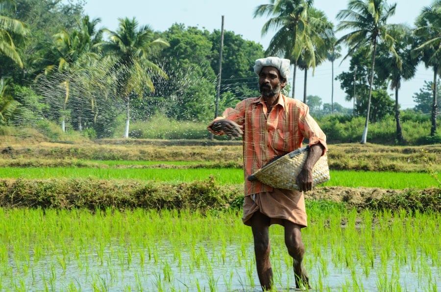 Himalayan Agriculture Adaptation to Climate Change