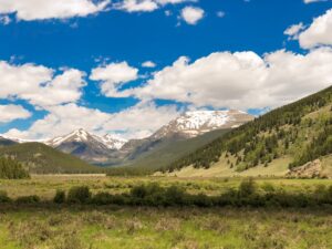 Photo Grant application