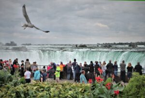 Photo Responsible tourism campaign