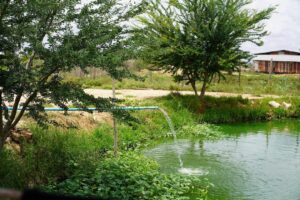 Photo Water pump