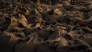 Photo Community gathering