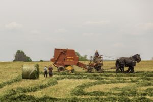 Photo Farmers harvesting