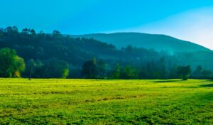 Photo Agricultural field
