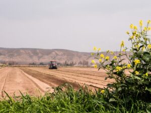Photo Agricultural cooperative