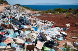 Photo Waste Management Solutions