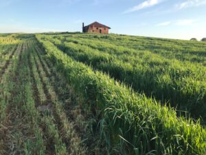 Photo Farmers planting crops