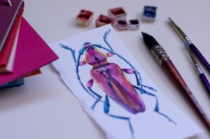 Photo Water collection