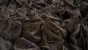 Photo Community gathering