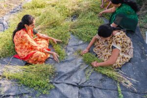 Photo Farmers planting crops