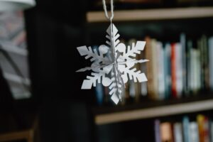 Photo Agroforestry Project