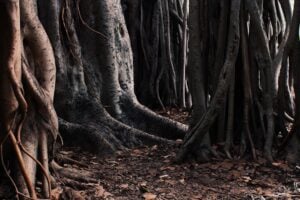 Photo Root Causes: Lack of Planning