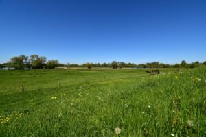 Photo Water management