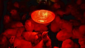 Photo Cooperative Farming