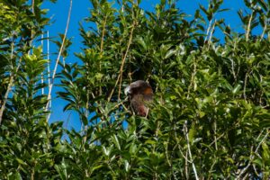 Photo Wildlife sanctuary