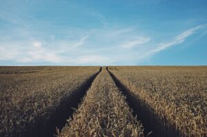 Photo Sustainable Farming
