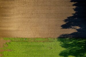 Photo Agricultural field
