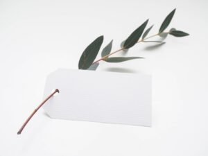 Photo Executive Summary Template
