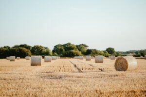 Photo Rainwater Harvesting System