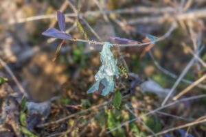 Photo Impact report