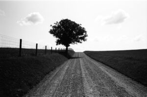 Photo Impact report