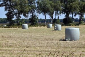 Photo Policy Advocacy