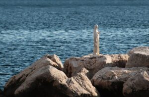 Photo Myth Busting