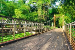 Photo Land Restoration