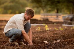 Photo Compost pile