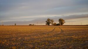 Photo Agroecology Field