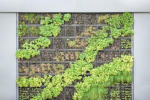 Photo Urban Garden