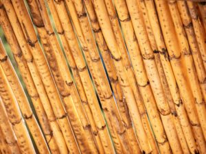 Photo Resource allocation