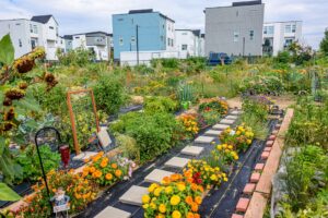 Photo Community garden
