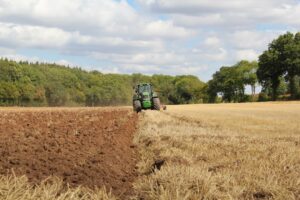 Photo Sustainable farming