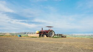 Photo Organic farm field