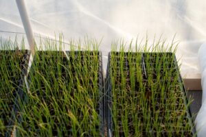 Photo Regenerative Farming