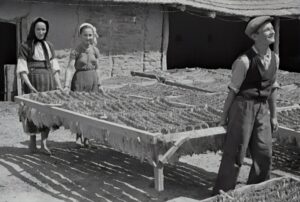 Photo Agro-processing factory