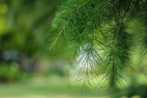 Photo Eco-friendly products