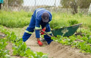 Photo Cooperative Farming