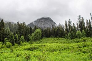 Photo Agroecology Field