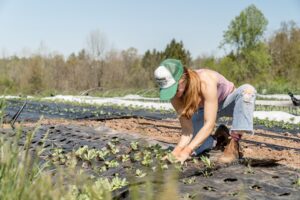 Photo Organic farm