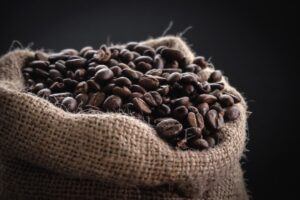 Photo Coffee plantation