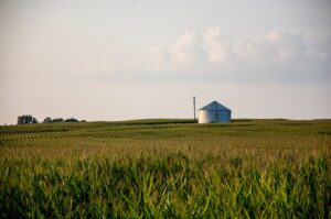 Photo Farm field