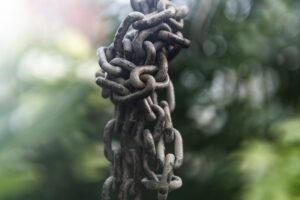 Photo Sustainable supply chain