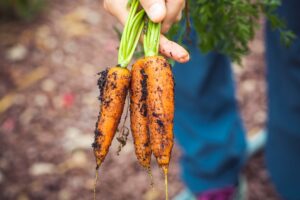 Photo Urban Farming