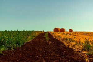Photo Agricultural cooperative