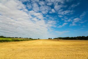Photo Farm field