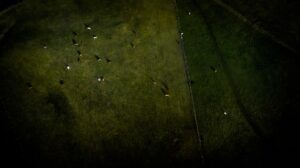 Photo Regenerative Farming Techniques