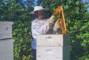 Photo Beehive Diagram